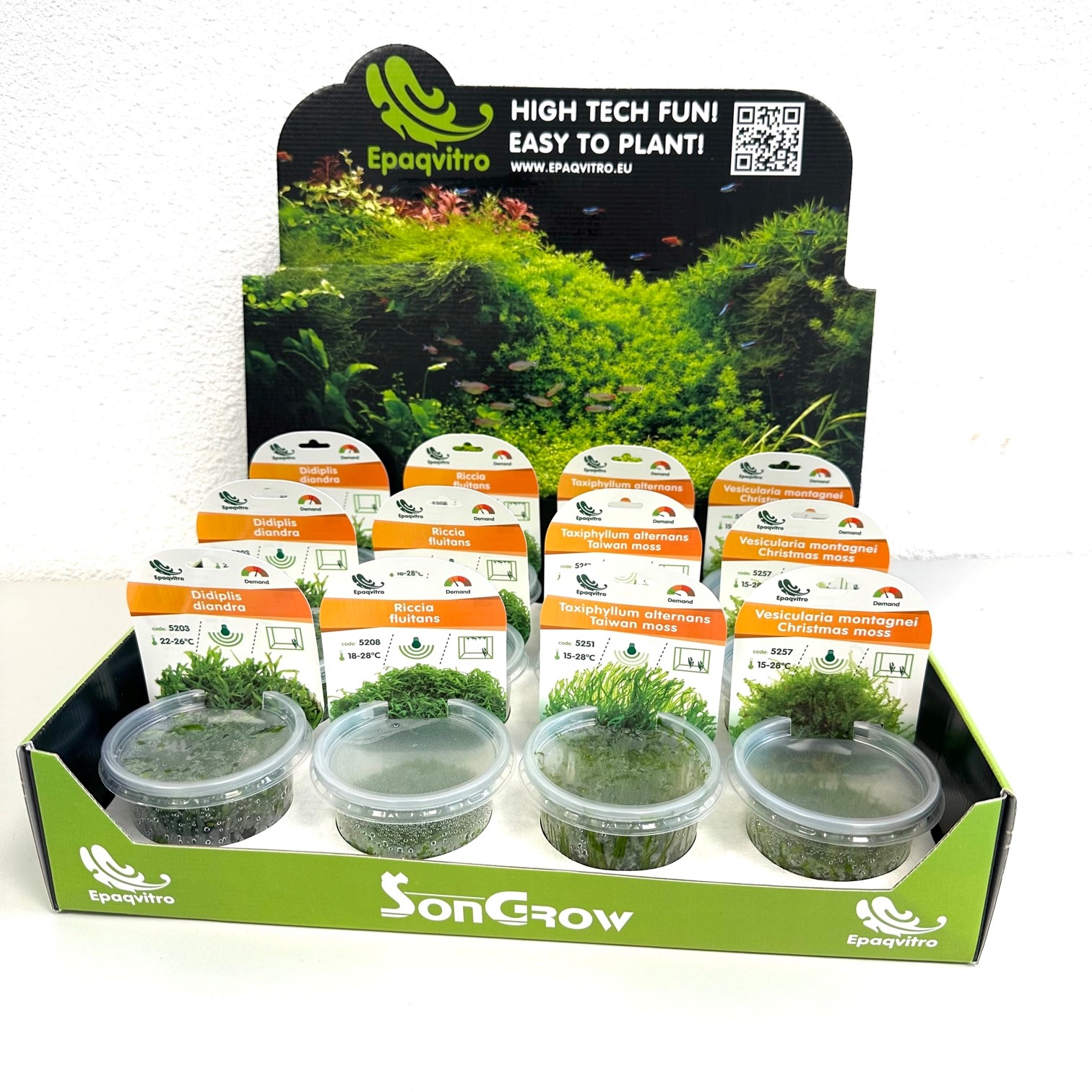 Vitro cups